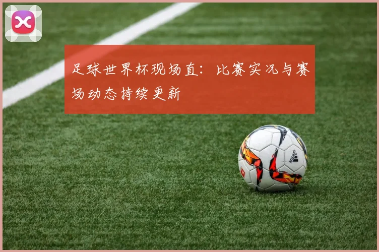 足球世界杯现场直:比赛实况与赛场动态持续更新