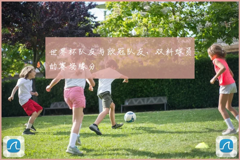 世界杯队友与欧冠队友,双料球员的赛场缘分