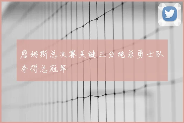 詹姆斯总决赛关键三分绝杀勇士队夺得总冠军