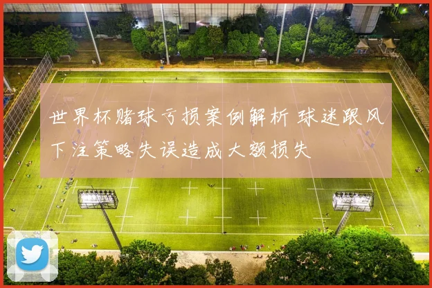 世界杯赌球亏损案例解析 球迷跟风下注策略失误造成大额损失