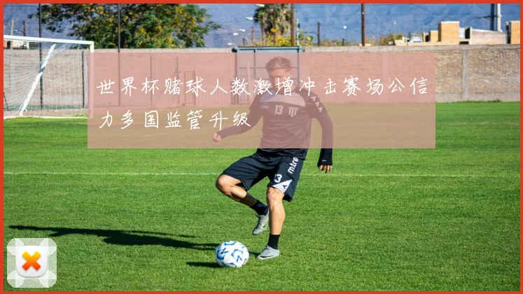 世界杯赌球人数激增冲击赛场公信力多国监管升级